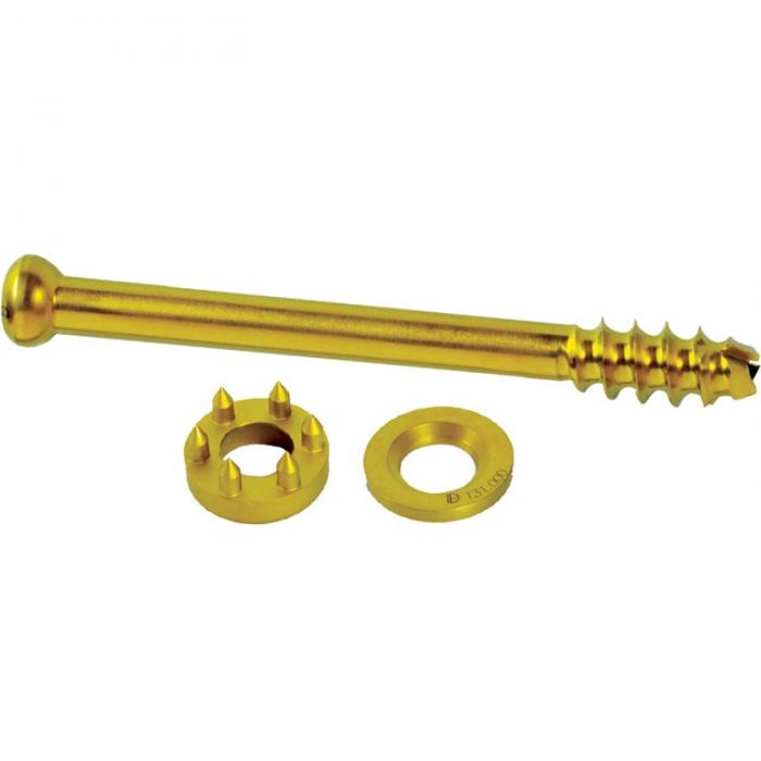 Cannulated Screw