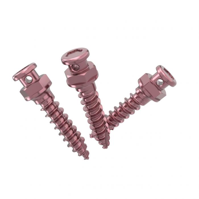 Orthodontic Screw System