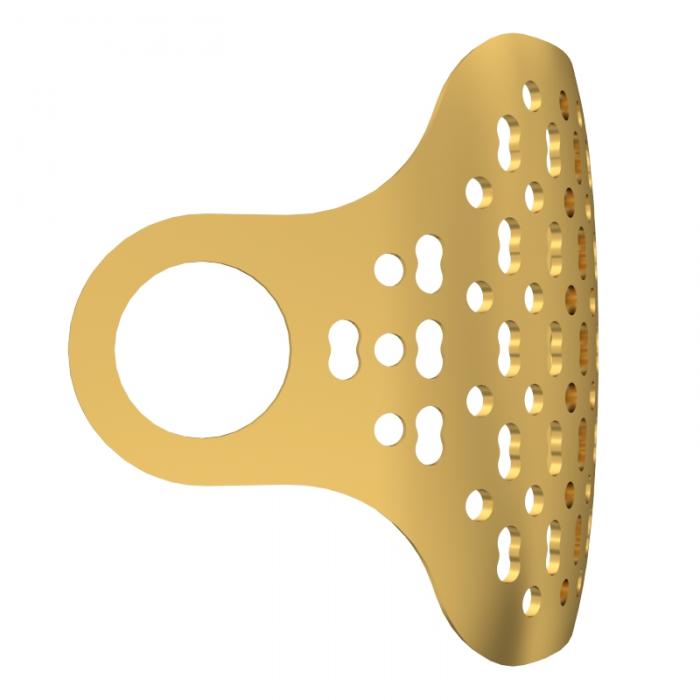 Guided Bone Regeneration
