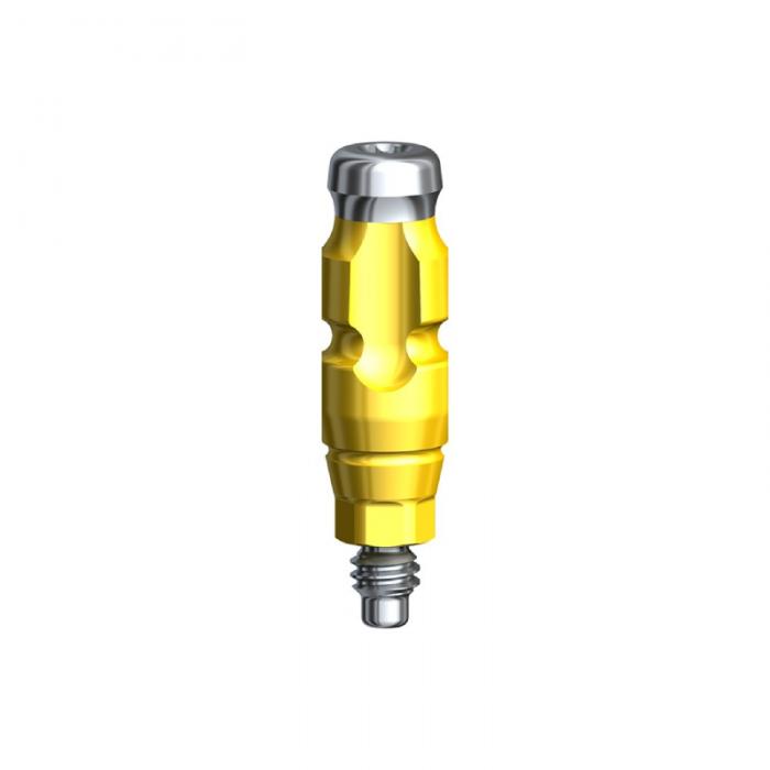 Dental Implant System