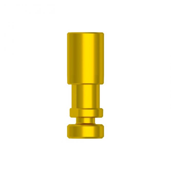 Dental Implant System