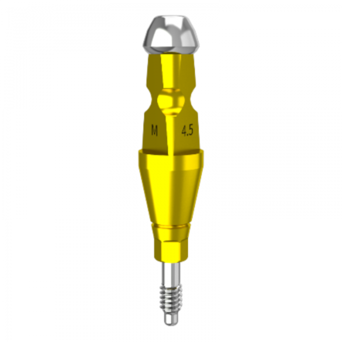 DMR Implant System