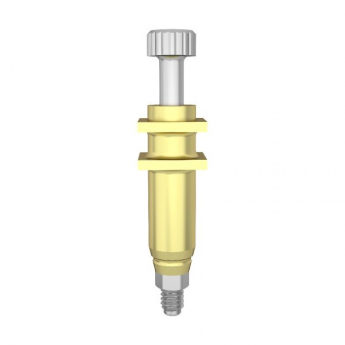Dental Implant System