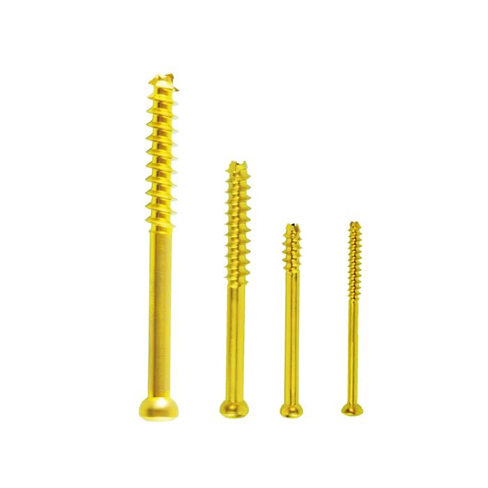 Cannulated Screw