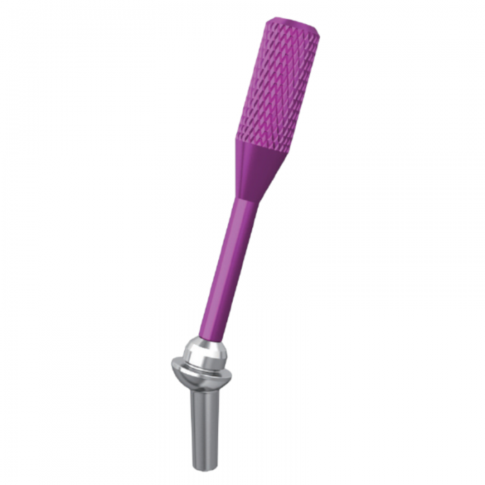 EasyLearn 15° Fixed-Detachable Abutment