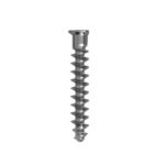 Bone Screw