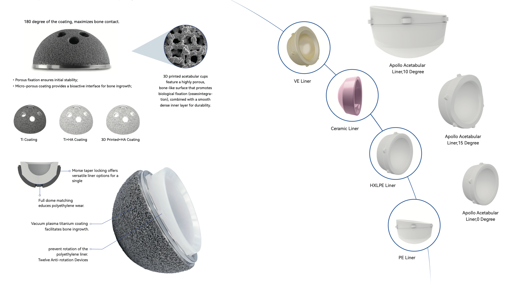 Apollo Acetabular Cup System 2 Twelve anti-rotation devices control rotation of the polyethylene liner. The ring mechanism in the liner eliminates the risk of liner dislocation.